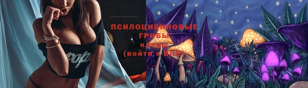 гидра Навашино