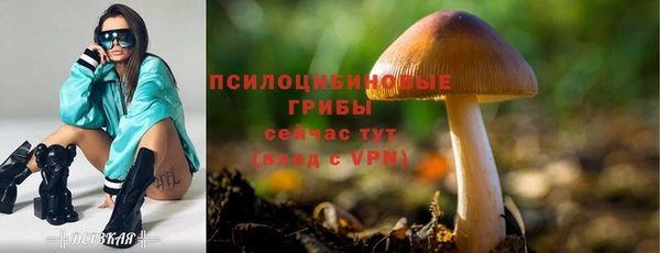 ПСИЛОЦИБИНОВЫЕ ГРИБЫ Михайловка
