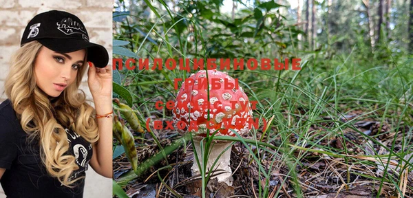 ПСИЛОЦИБИНОВЫЕ ГРИБЫ Михайловка