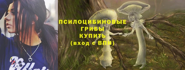 гидра Навашино