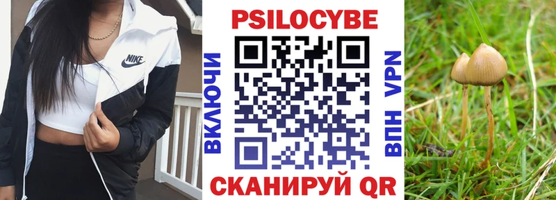 Галлюциногенные грибы Psilocybe где найти hydra ссылки Новоаннинский